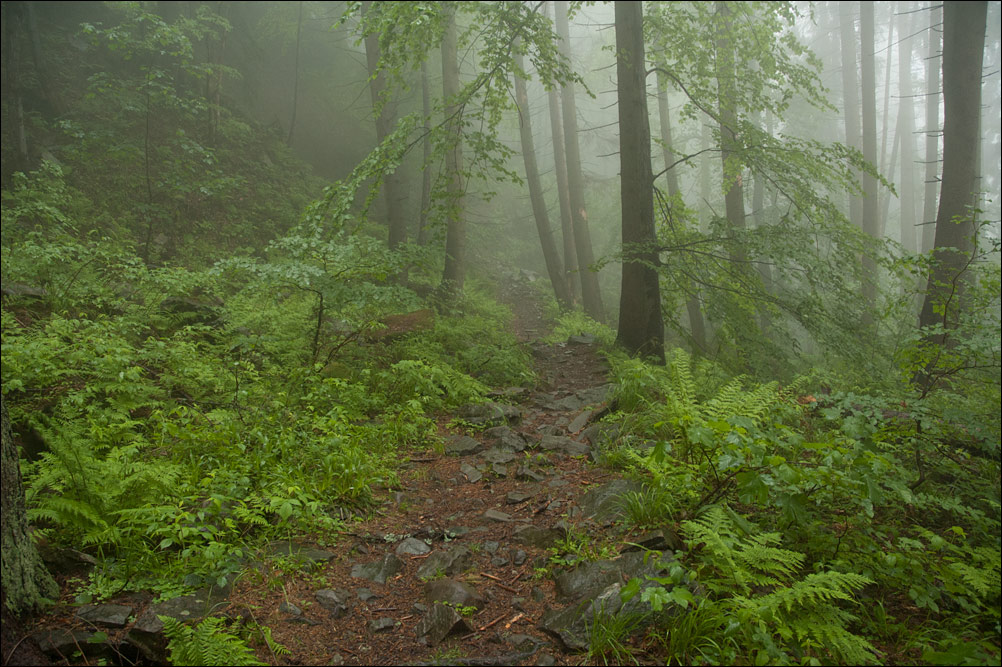 Beskidy