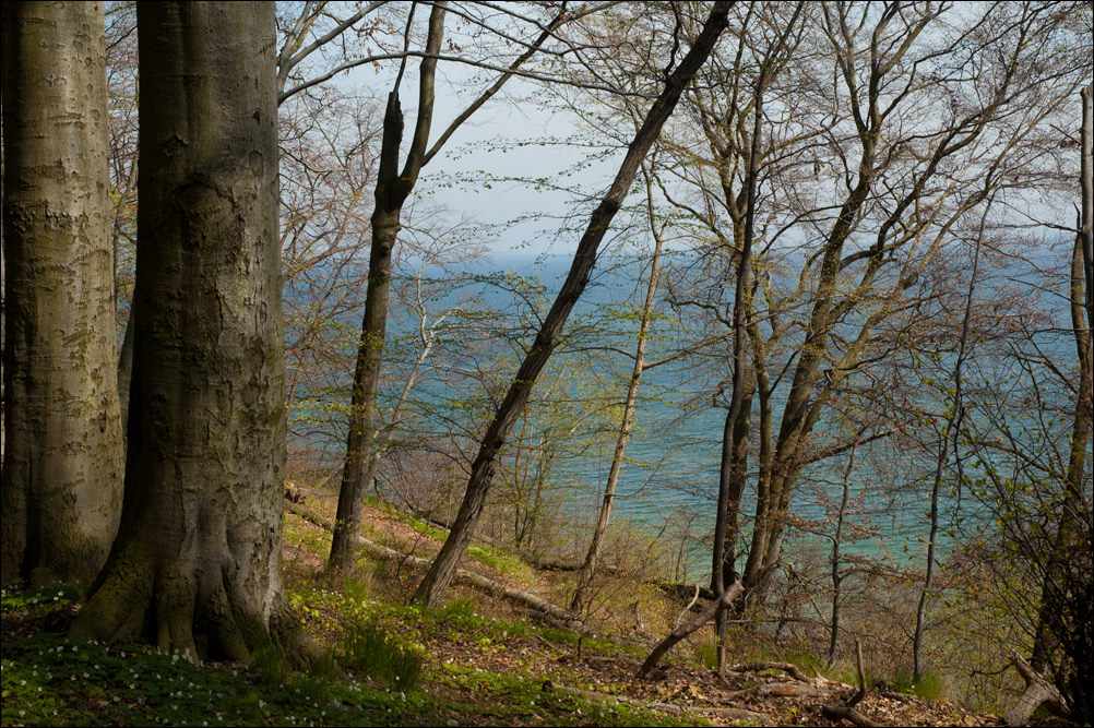 Gdynia Orłowo - plaża
