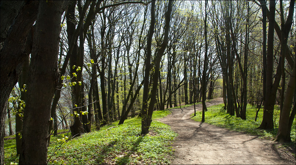 Gdynia Orłowo - plaża