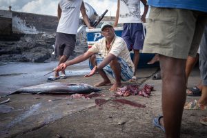 Cape Verde – Santo Antão rybacy