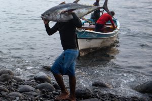 Cape Verde – Terrafal rybacy